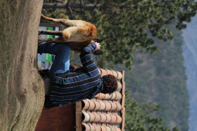 Fotografía — Retrato · Paisaje · Recreativa 5