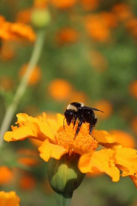 Fotografía — Sesiones de retrato · Fauna y flora 8